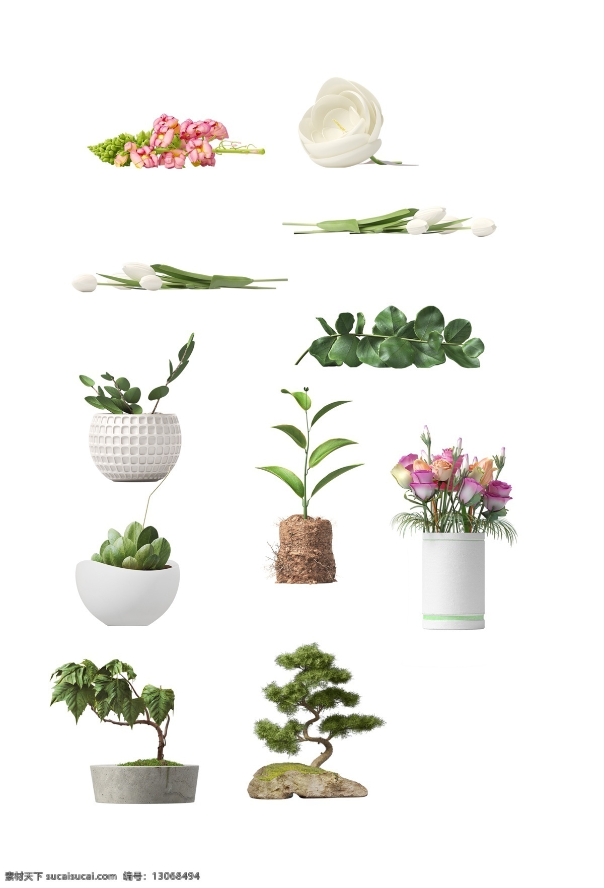 许多盆栽 植被 花朵 小花 盆栽 绿植