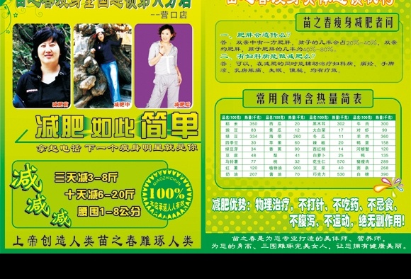 苗 之春 瘦身 美体 宣传单 减肥如此简单 食物热量表 绿色 花纹 本店承诺 第六分店 其他设计 矢量图库