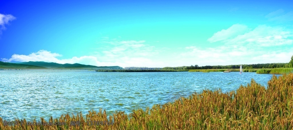 水稻 稻田 湖 风景 田野风光 水稻基地 自然景观 自然风光