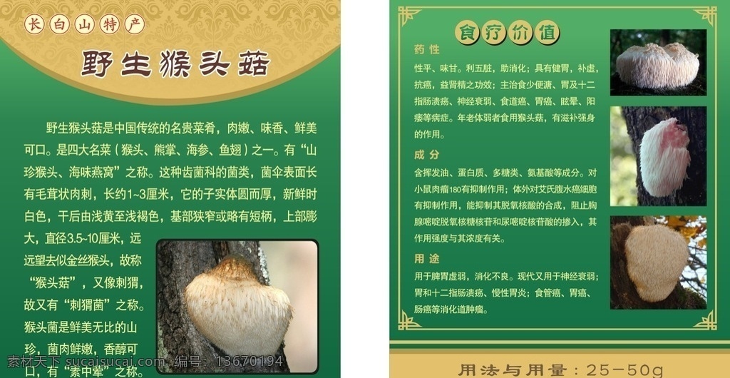 猴头菇名片 猴头菇 野生猴头菇 长白山特产 猴头菇图片 植物图片 刺猬菌 绿色名片 名片卡片 黄色名片 药材名片 猴头菇简介 名片模版 高档名片 名片系列