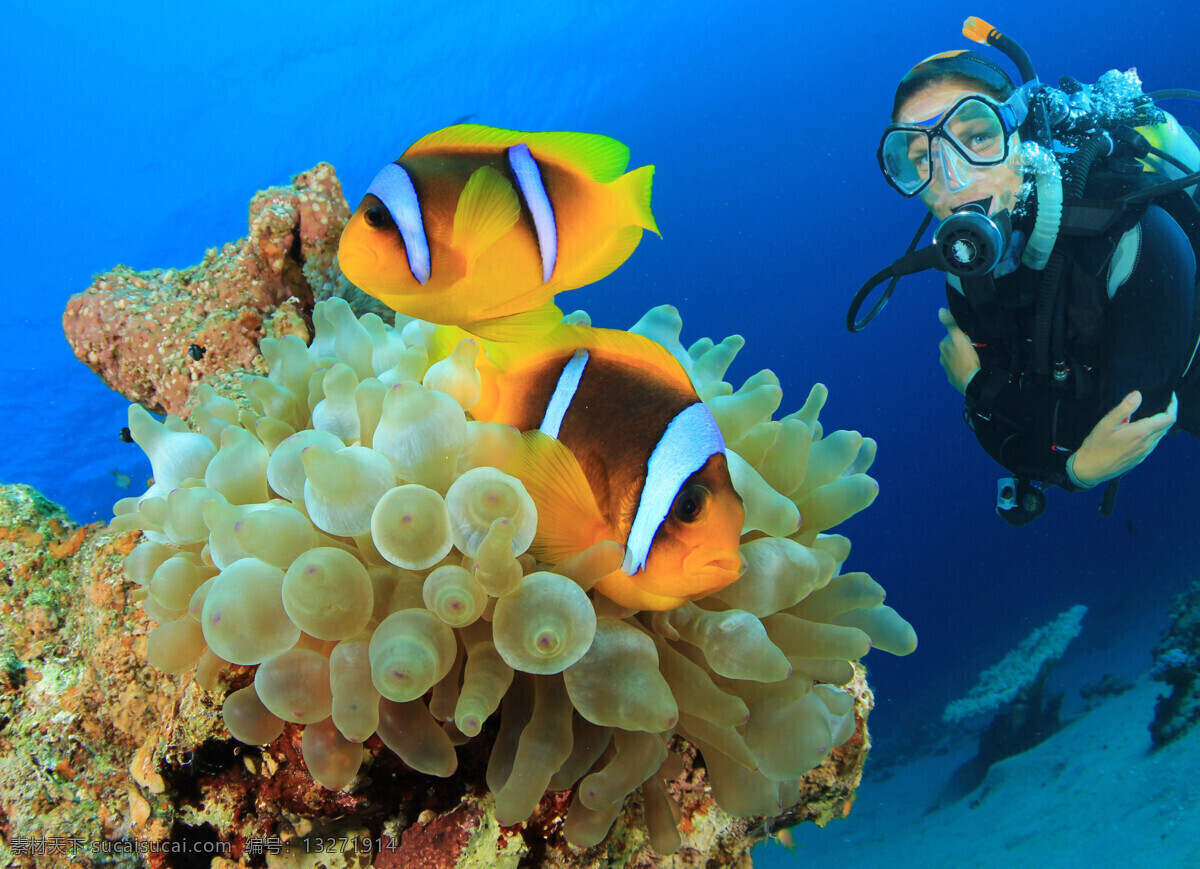 海底 珊瑚 鱼类 女 潜水员 海底的珊瑚 女潜水员 人物 生活人物 人物图片
