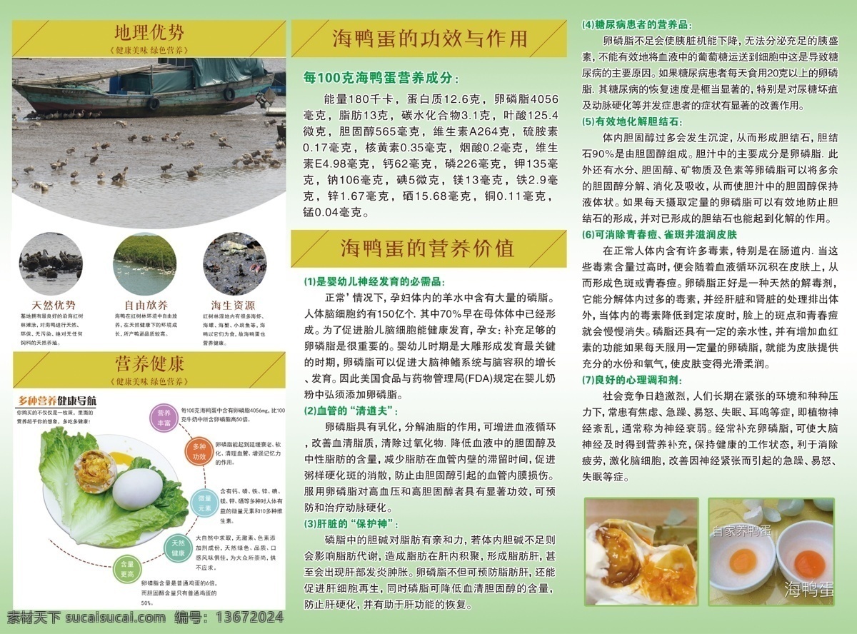 海鸭蛋 营养价值 地理优势 海鸭蛋彩页 宣传单 功效与作用 分层