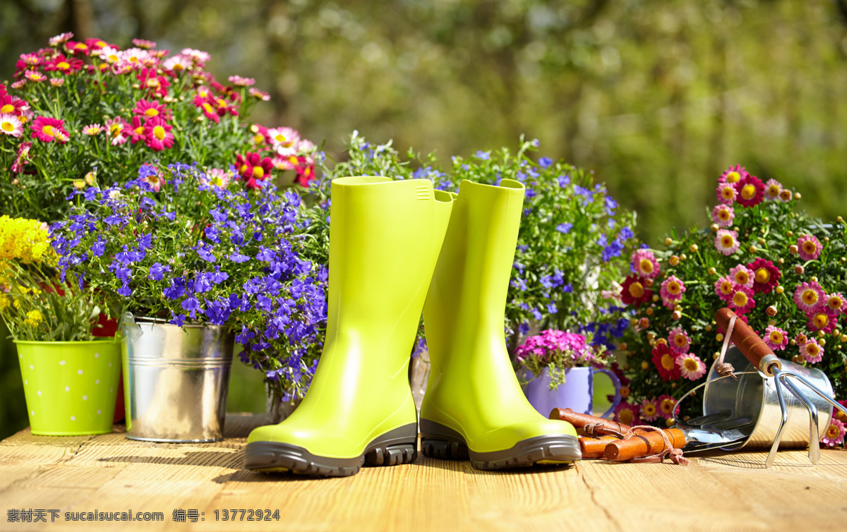 雨鞋与鲜花 雨鞋 雨靴 鲜花 花朵 花卉植物 花盆 园艺工具 其他类别 环境家居 黄色