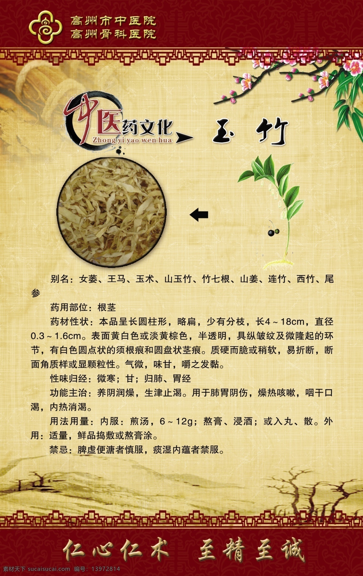 古典 挂画 广告设计模板 医院 医院文化 源文件 展板模板 中草药 玉竹 中医药 文化 模板下载 玉竹医药文化 中医 中医院 中医药文化 药文化 中医草药 中医文化 psd源文件