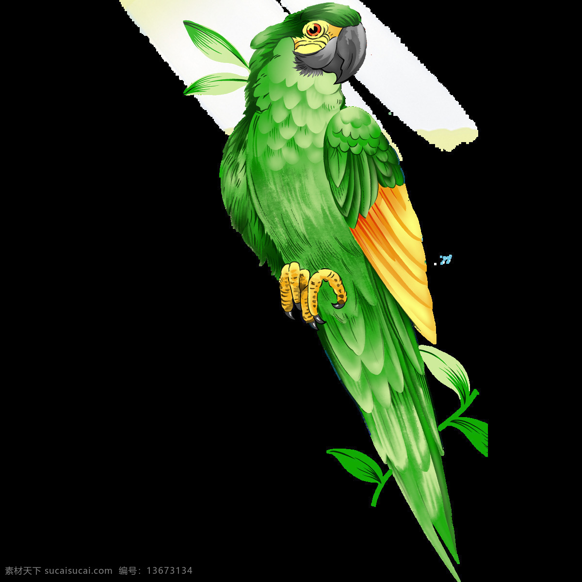 唯美 绿色 鸟儿 绘画 美观 鲜明 逼真 绿色鹦鹉 活泼