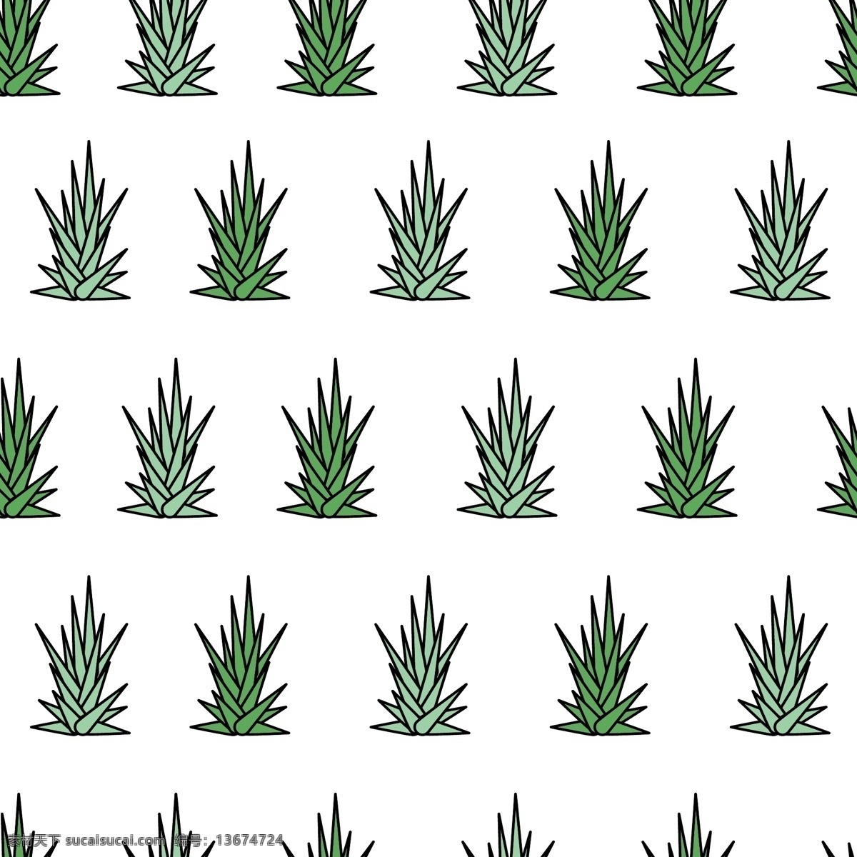 龙舌兰的模式 龙舌兰 多汁 aloe vera 芦荟 植物 自然 花卉 健康 图案 背景 绿色 重复