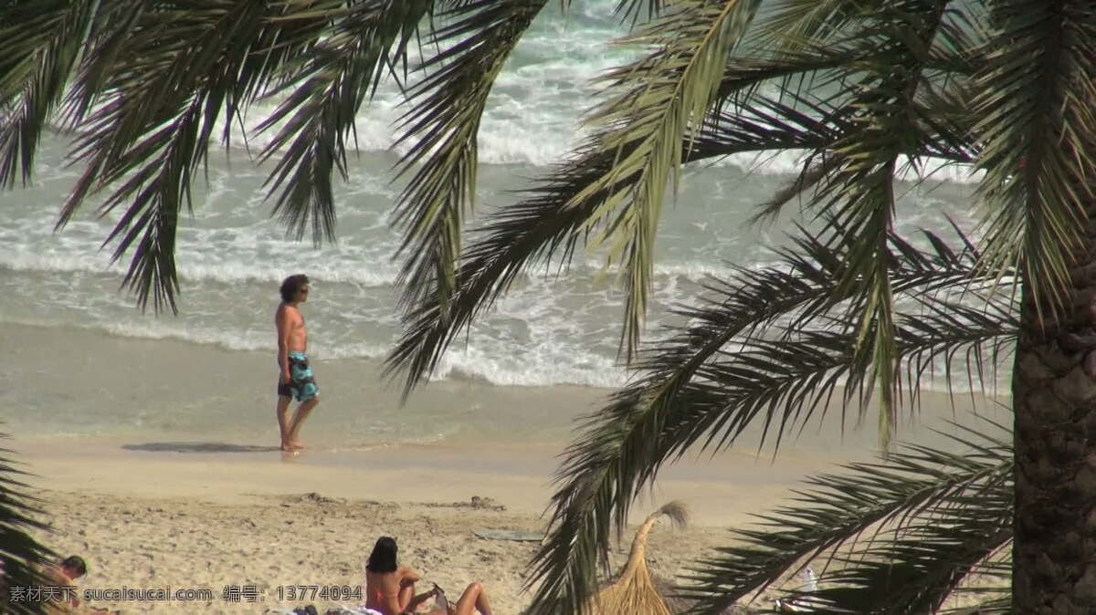 西班牙 海滩 股票 视频 棕榈树 波 欧洲 国际 国外 海 水 沙 树 热带 热 度假 放松 avi 灰色
