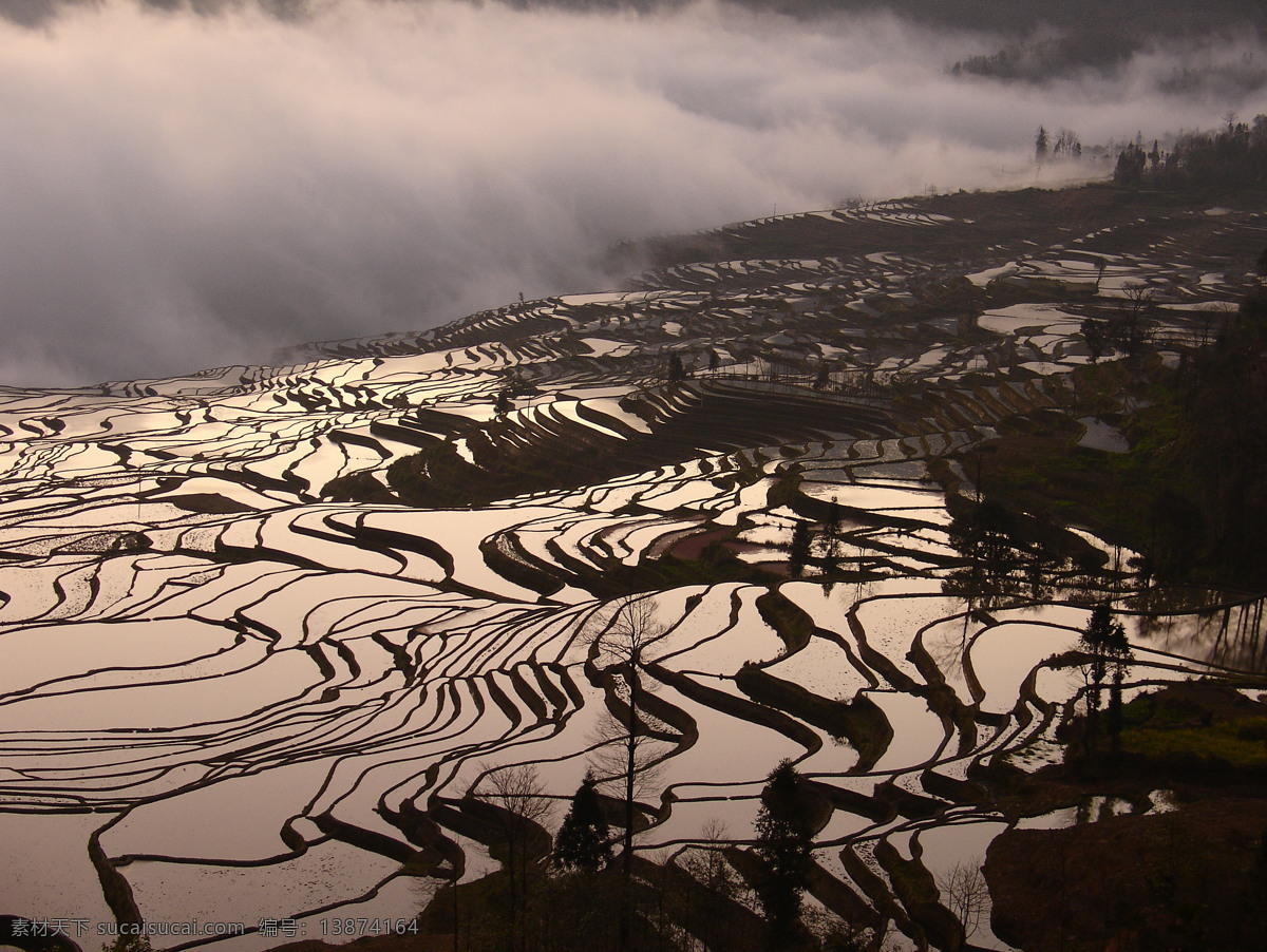 元阳梯田日出 元阳 梯田 哈尼梯田 梯田日出 日出 自然景观 自然风景