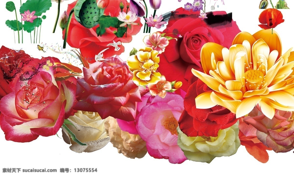 百花 齐 艳 花花 最爱 齐艳 们的 玫瑰花 玫瑰 白色