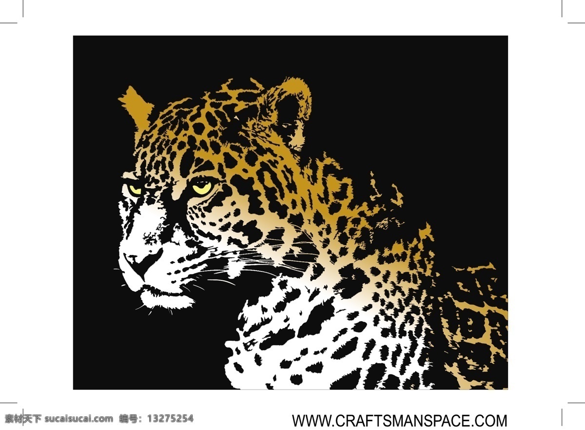 自然 豹 捷豹 插画 野生动物 黑色