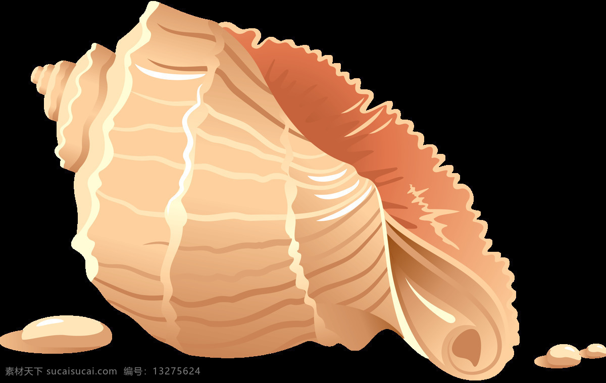 手绘 漂亮 粉色 海螺 免 抠 透明 图 层 海螺简笔画 海螺摄影 贝壳素材 贝壳海星 失量图贝壳 动物的海洋 海洋动物图片 贝壳 海边贝壳 沙滩海螺 贝壳海螺