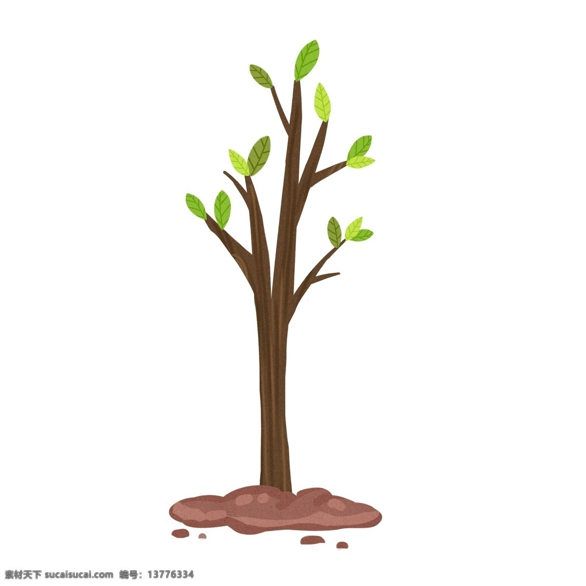 绿色 小 树苗 卡通 手绘 植物 树木 环保 爱护环境 插画 土壤 绿叶