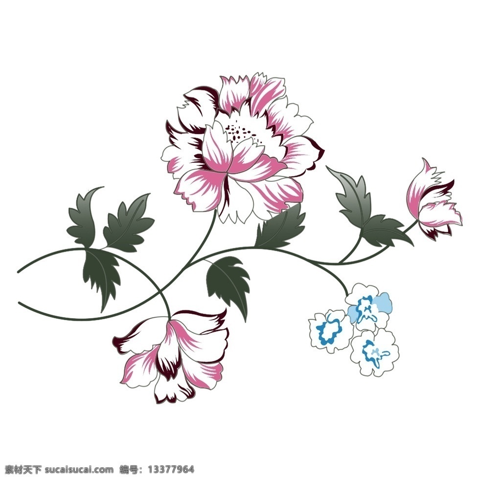 大花 花卉 粉色 自然 手绘 花边花纹 底纹边框
