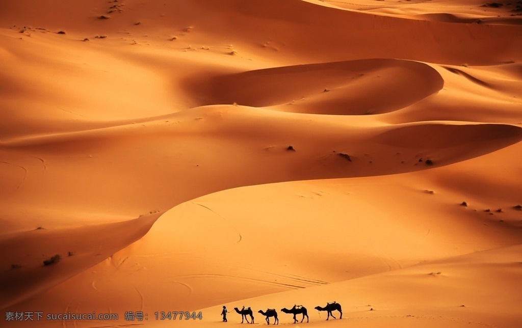 唯美 风景 风光 旅行 自然 沙漠 甘肃 鸣沙山 大漠 荒漠 骆驼 驼队 丝绸之路 旅游摄影 国内旅游