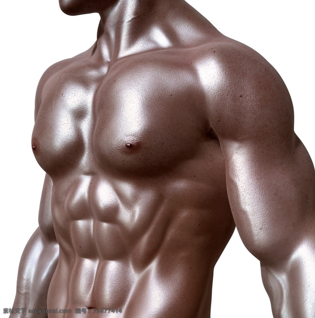 古铜色的肌肉 健身 肌肉 古铜色 帅气 男神 人物图库 人物摄影