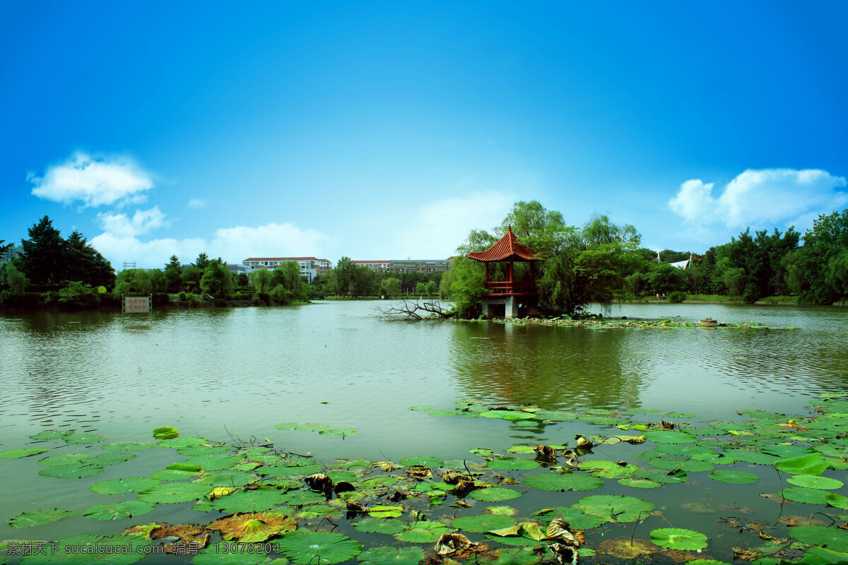 湖心岛 蓝天碧水 公园湖 湖水荷叶 曹禺公园荷叶 曹禺公园湖水 自然景观 风景名胜