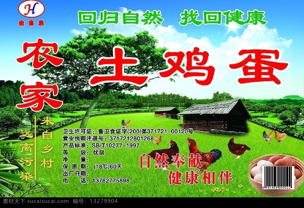 农家土鸡 宣传页 回归自然 健康 乡村 污染 鸡 蛋 农家房子 蓝天 绿树 草地 矢量图库