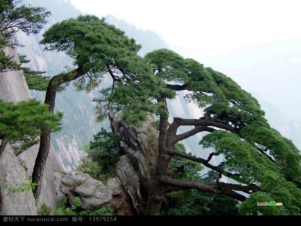 华山 旅游摄影 国内旅游 摄影图库