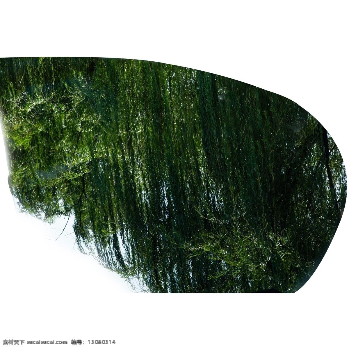 黑色 桌子 柳树 倒影 圆桌 黑色桌子 黑色圆桌 柳树倒影