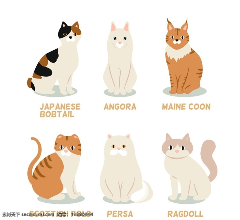 卡通猫咪头像 卡通头像 猫咪头像 宠物 白猫 黄猫 黑猫 花猫 猫 动物 头像 矢量动物 生物世界 插画 卡通动物头像 野生动物 平面素材