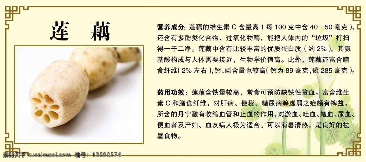 莲藕 简介 边框 药用 功效 展板模板 广告设计模板 源文件