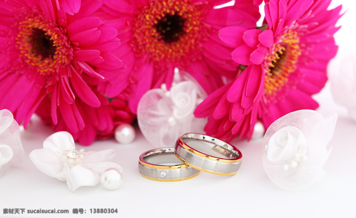 戒指 花朵 鲜花 红花 钻戒 戒指素材 戒指摄影 婚庆 婚庆礼品 婚庆戒指 情侣戒指 珠宝服饰 生活百科