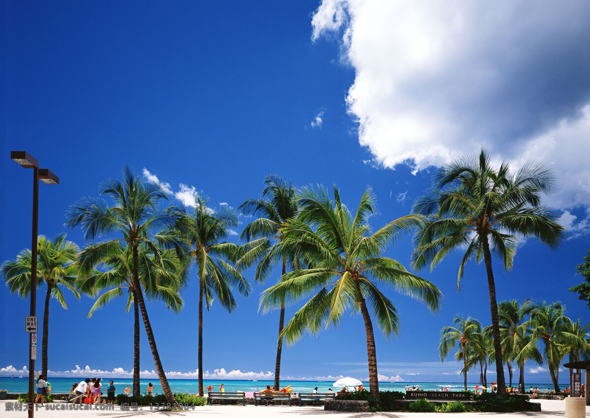 夏威夷 风光摄影 夏威夷风光 海洋 海滩 沙滩 避暑胜地 海边 树木 座椅 夏天 夏日风情 清爽一夏 度假旅游 蔚蓝天空 沙滩椅 国外旅游 旅游摄影 大海图片 风景图片