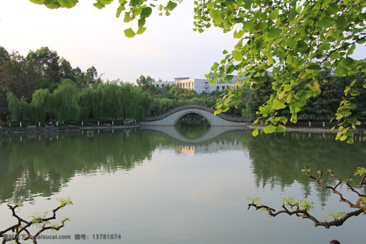 成都大学 建筑 风景 校园 环境 桥 建筑园林 白色