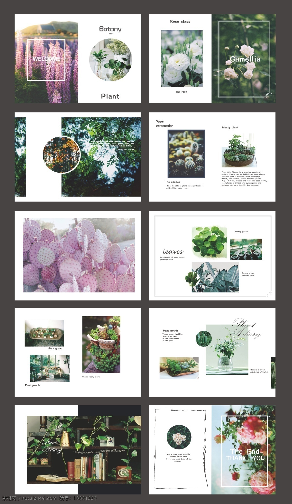 植物画册 植物 画册 小清新 排版 绿植 可爱 白色