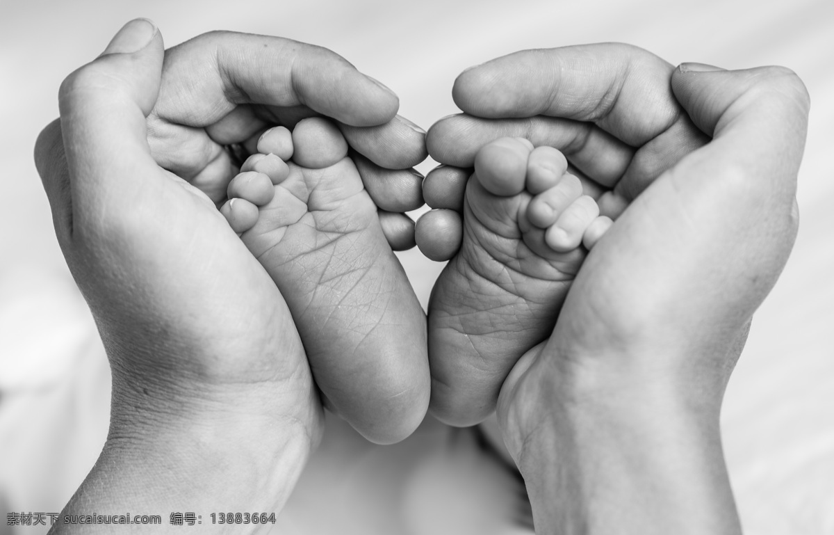 双手 捧 新生儿 小脚 婴儿的脚 小脚丫 宝宝的脚 小孩子 小脚板 手捧着 手势 呵护 婴幼儿 人体器官图 人物图片