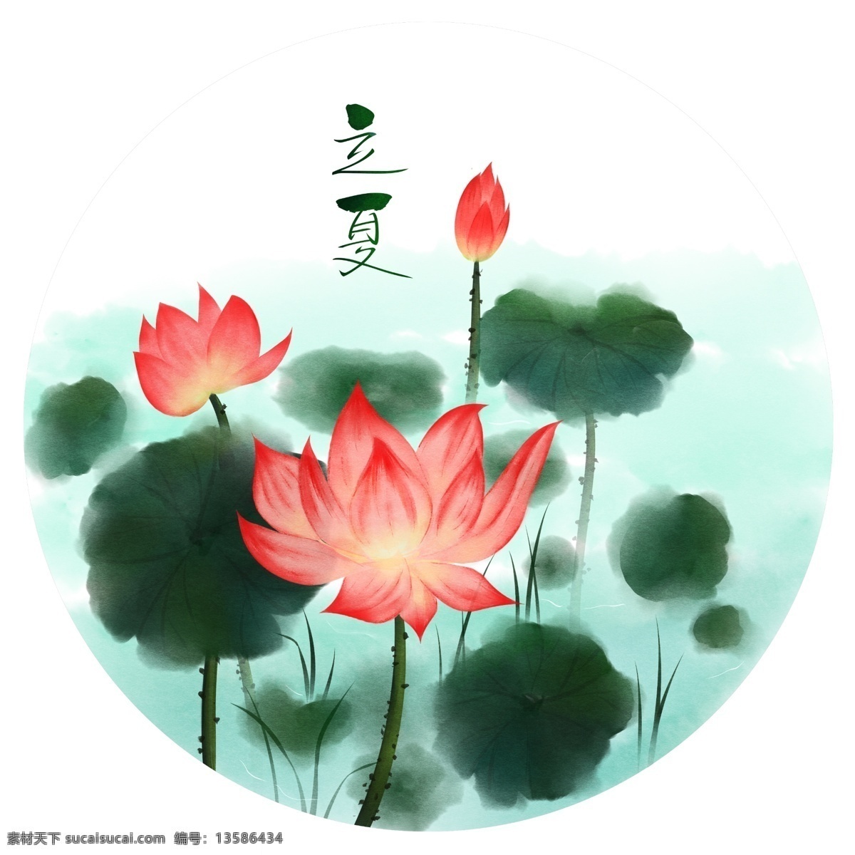手绘 水彩 风 立夏 荷花 水彩风 花卉 夏季 水草 荷叶 水面 二十四节气 手绘花卉 节气 夏天