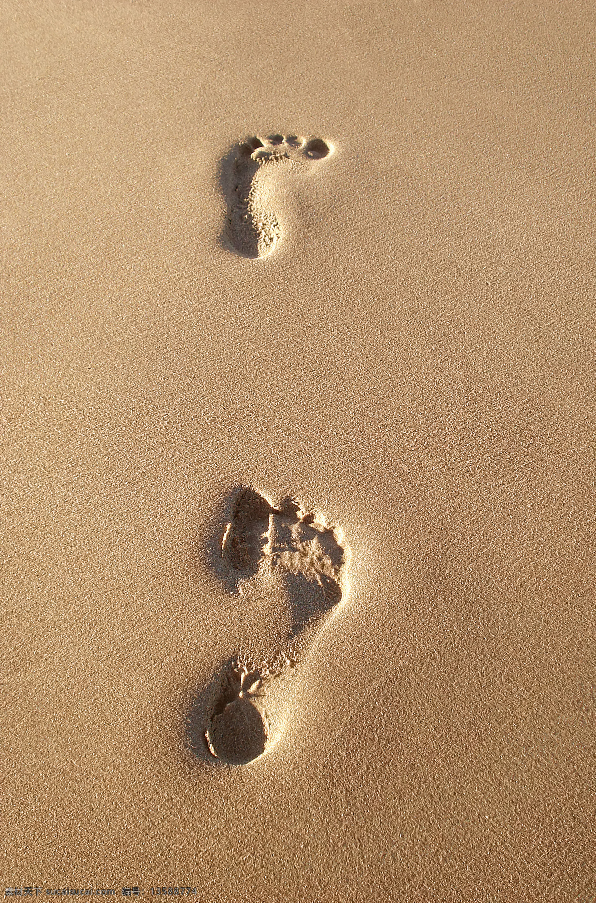 沙漠脚印 沙漠 脚印 脚丫 脚 徒步