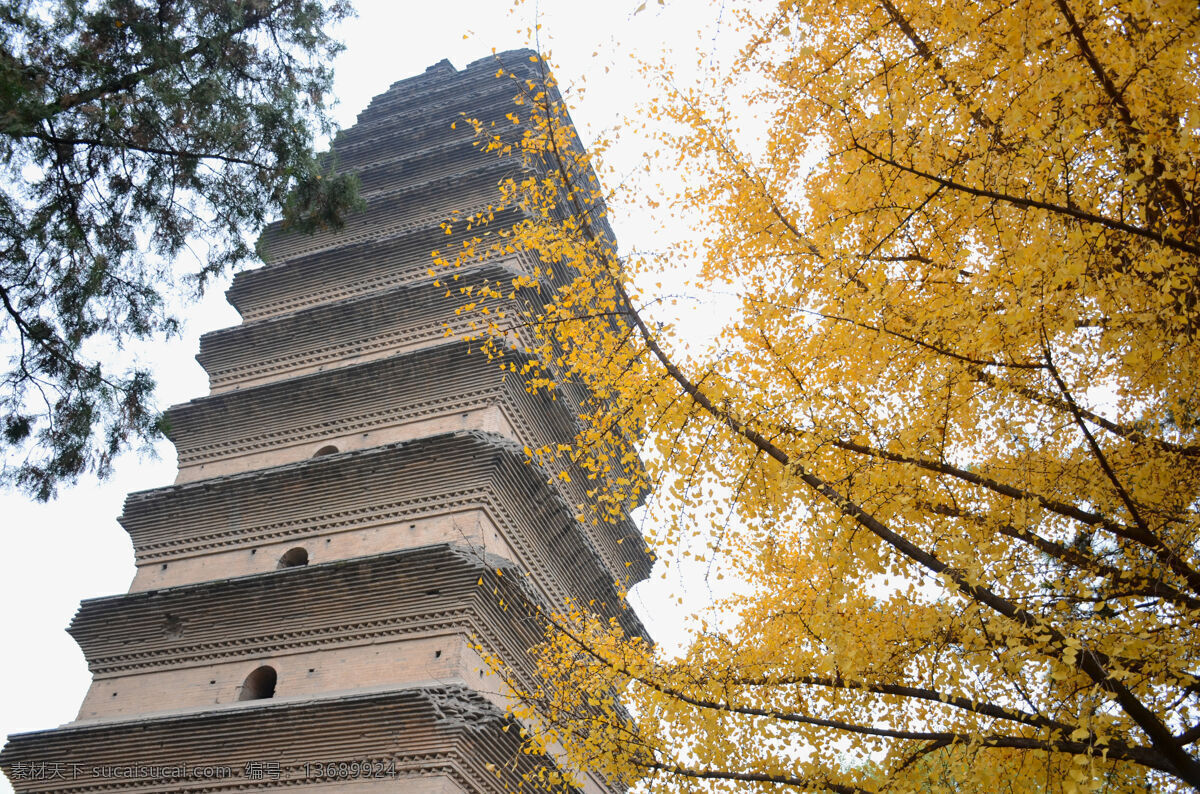小雁塔 西安小雁塔 秋天 银杏树 园林 历史 陕西旅游 西安 建筑园林 园林建筑