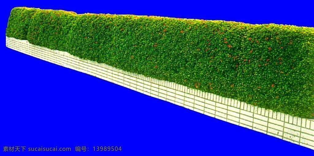 灌木 植物 贴图素材 建筑装饰 1907 设计素材 蓝色