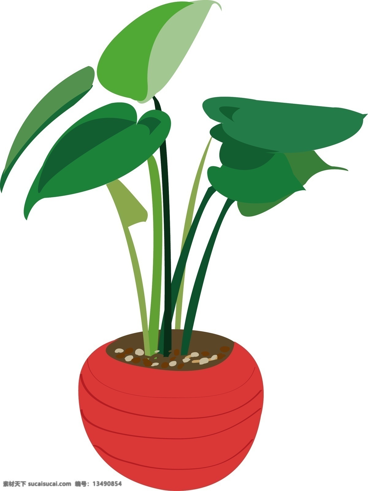 红色 盆景 卡通 插画 圆形花盆 绿色的植物 植物插画 植物 盆栽 卡通植物插画 绿色的叶子 盆栽插画