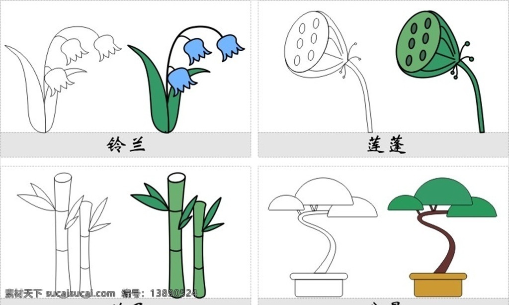 植物简笔画 儿童简笔画 儿童画 铃兰 莲蓬 竹子 青竹 盆景 松树 矢量素材 简图