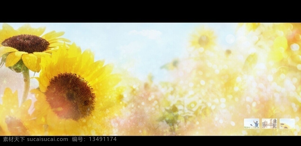 网站轮播大图 flash 轮播图 网站 banner 源文件 网站应用 动画 fla