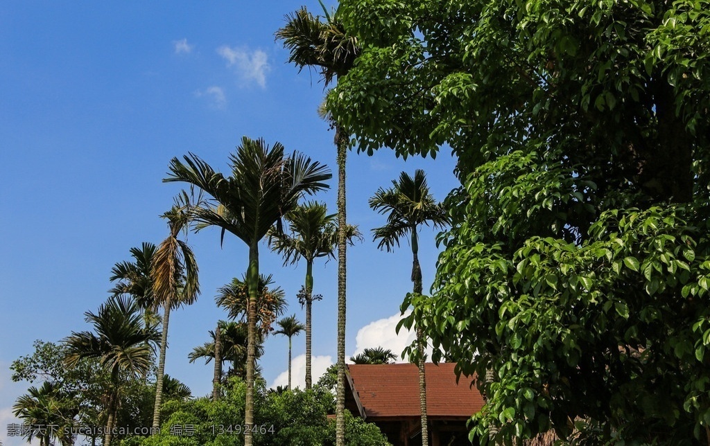 槟榔谷 海南三亚 海南旅游 海南槟榔 槟郎谷地 旅游风景区 苗族文化 自然风光 自然景观 自助游 国内旅游 旅游摄影