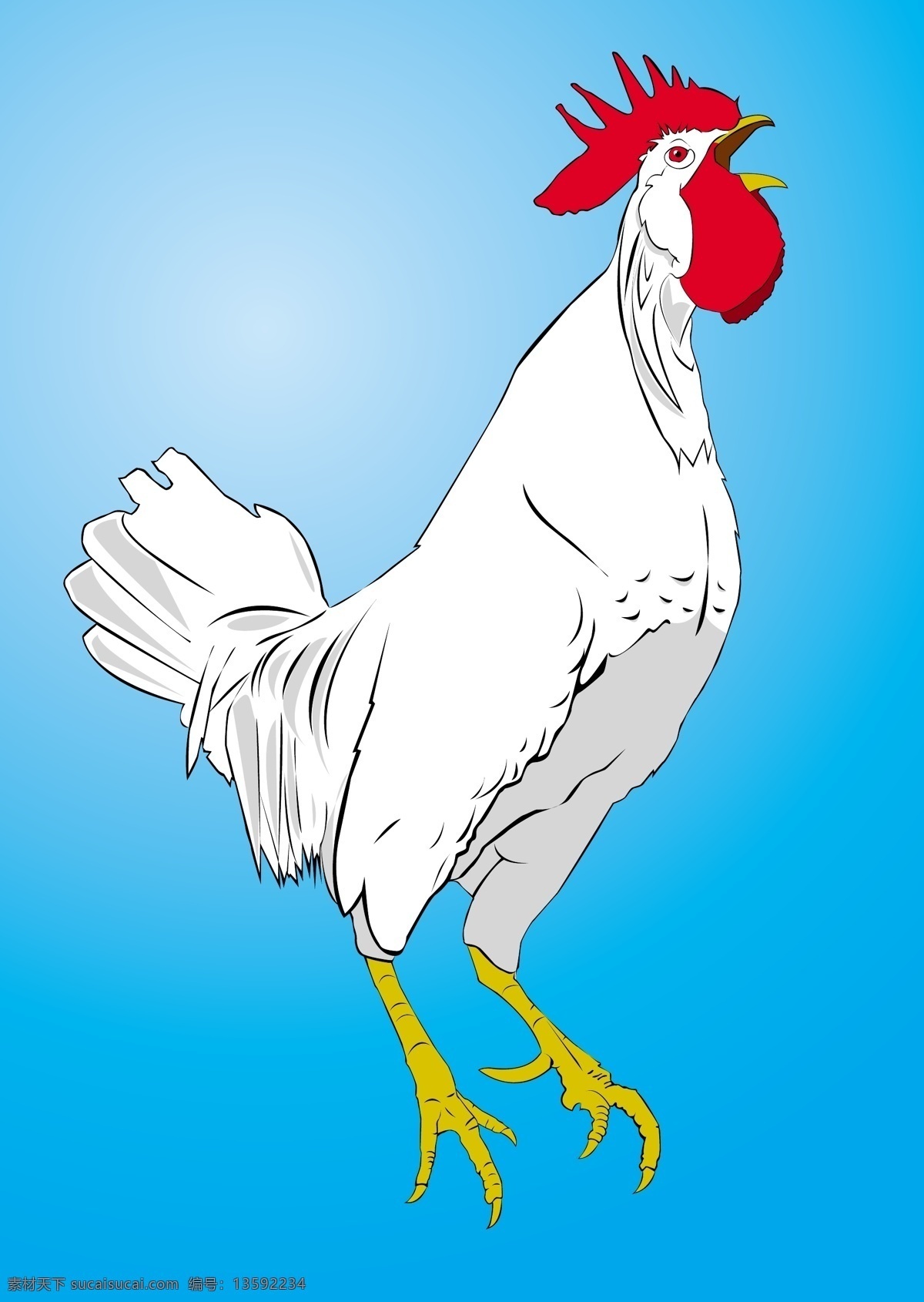 卡通公鸡打鸣 公鸡 打鸣 卡通公鸡 公鸡素材 手绘公鸡 鸡 动物矢量 生物世界 家禽家畜