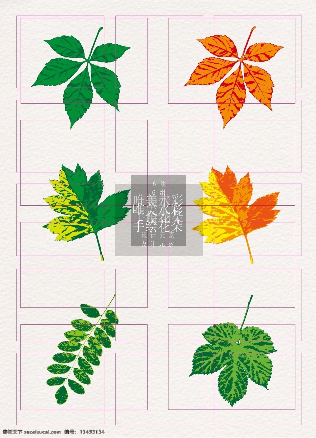 热带 植物 绿色 黄色 叶子 矢量 草地 热带植物 谷雨 元素