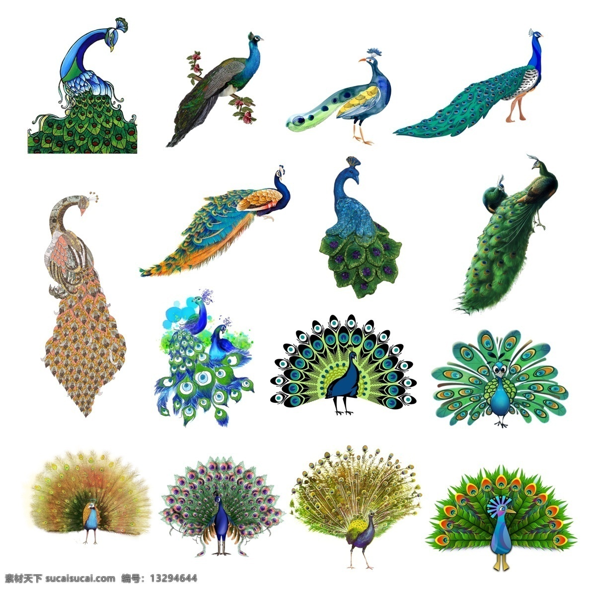 矢量素材 手绘插画 节气手绘 手绘插画素材 插画 海报素材 鸟类 鸟 羽毛 多彩鸟类 手绘鸟类 矢量鸟类 孔雀开屏 漂亮羽毛 生物世界