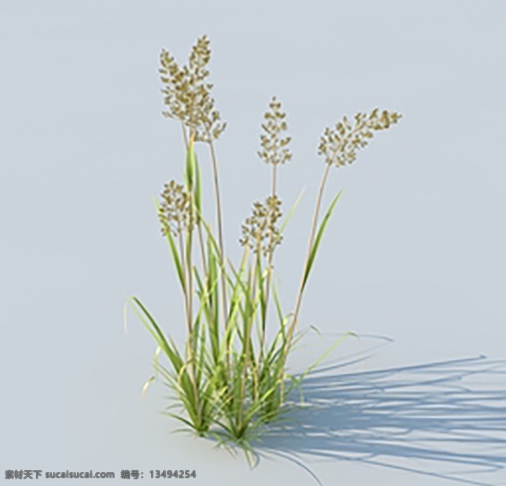 c4d 植物 模型 c4d模型 小草模型 花模型 绿植模型 植物模型 植物渲染 渲染 植物素材 植物模型素材 精美植物 3d设计 其他模型