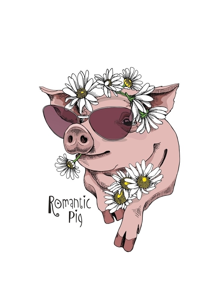 卡通图案 卡通动物 猪 文字图案 艺术文字 植物花卉 花卉图案 文化艺术