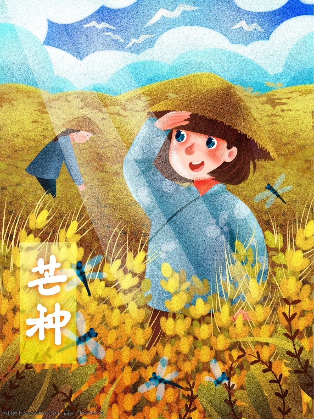 二十四节气 芒种 稻田 里 忙 耕种 收割 清新 插画 稻谷 农民 乡下 金黄 文案 蚊虫
