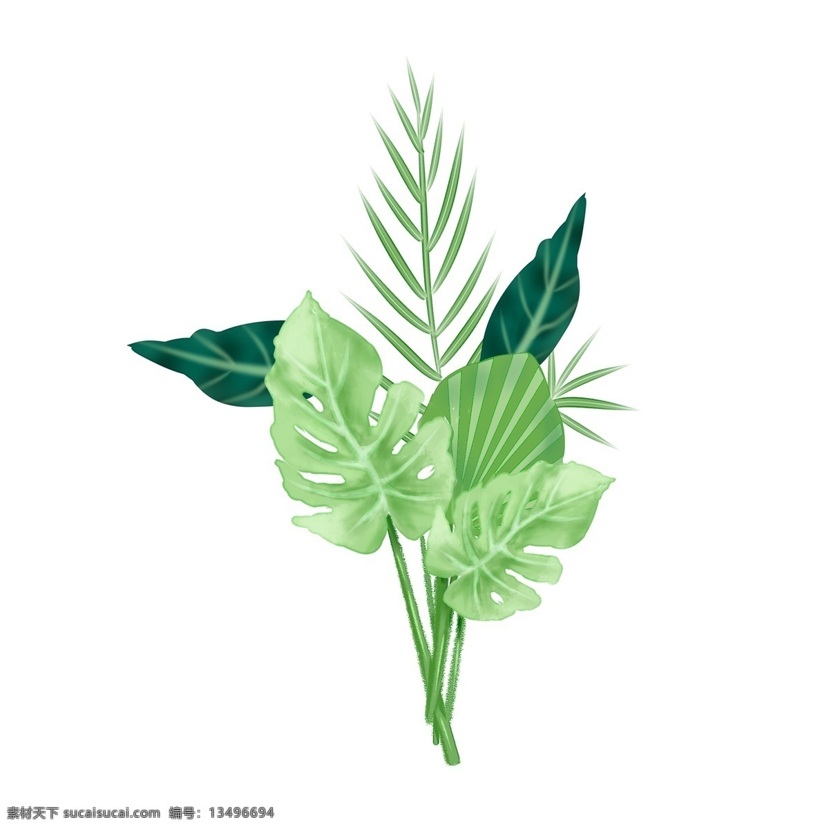 绿色 大 植物 树叶 装饰 元素 手绘 装饰元素 盆栽 简约 绿叶 绿植