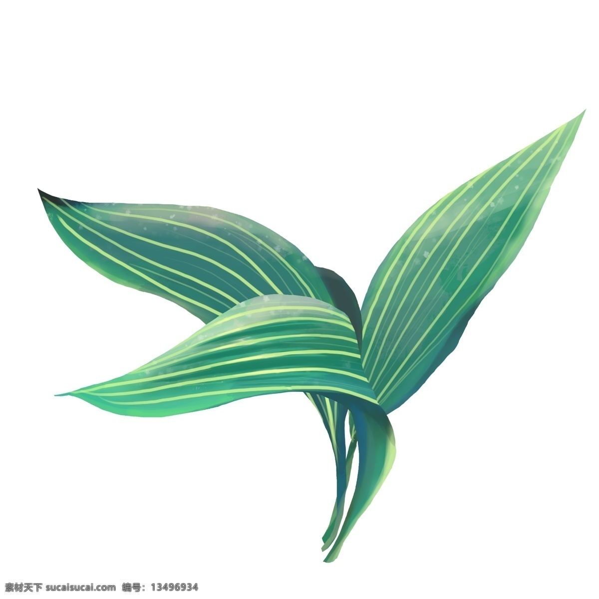 长条叶子植物 热带植物 条纹叶脉 小清新