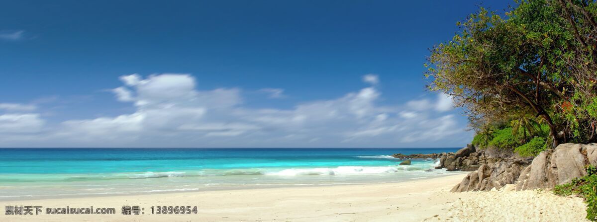 蓝天白云海滩 海 海洋 度假 娱乐 水 假期 天堂 棕榈树 沙 沙滩 全景图 蓝色海滩 蓝色的水 蓝色的树 蓝色的大海 蓝色的海洋 蓝色的沙子 塞舌尔 大海 自然景观 自然风景