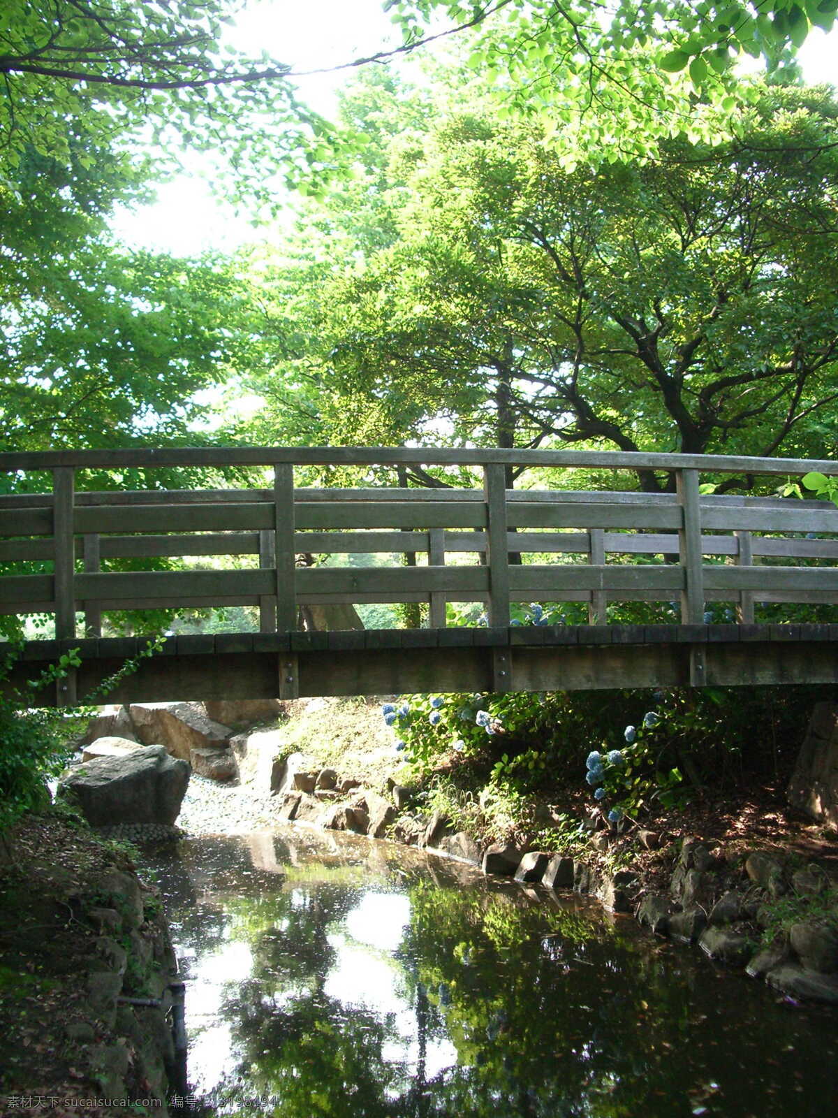 小溪 上 木桥 建筑园林 林荫 流水 树木 阳光 绿荫 惨惨流水 家居装饰素材 园林景观设计