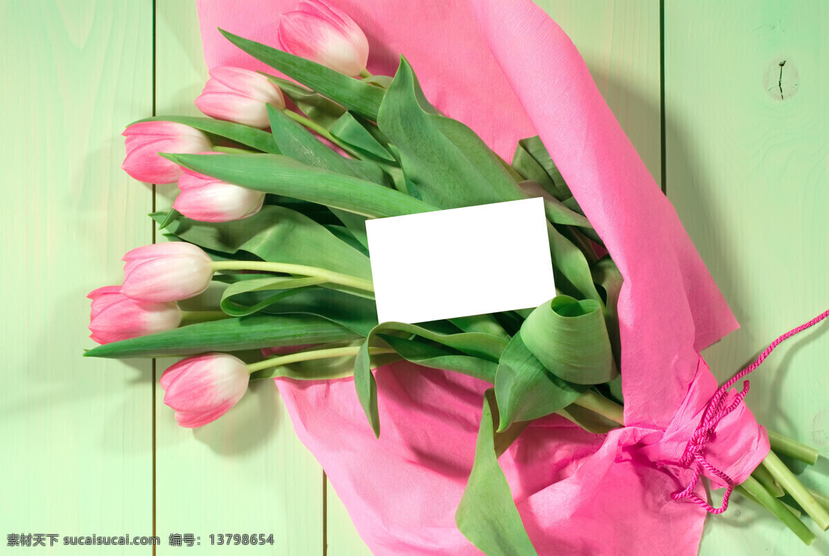 郁金香 空白 卡片 郁金花 花卉 鲜花 花朵 美丽鲜花 花草树木 空白卡片 生物世界 粉色