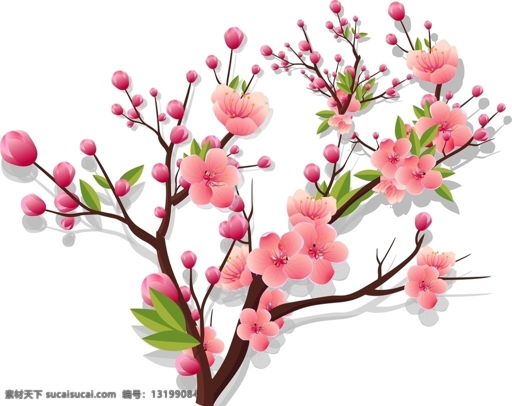 花 红梅 梅兰竹菊 水彩梅花 中国风 中国风素材 梅花素材 矢量梅花